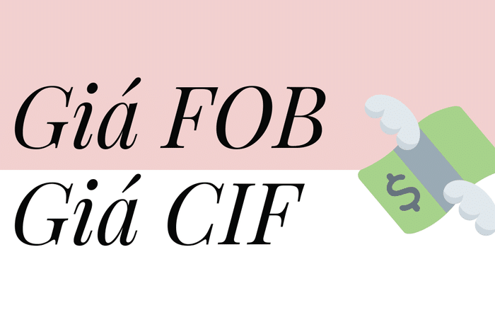 Sự khác biệt giữa giá CIF và FOB